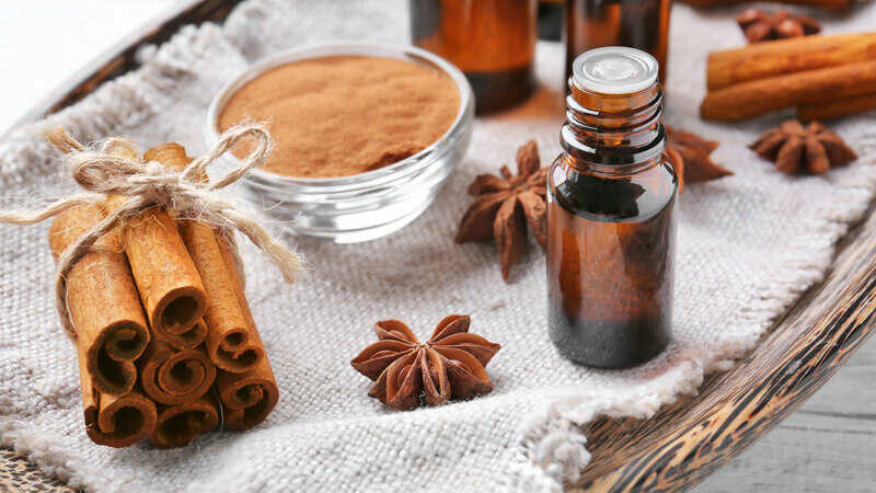 Cinnamon powder, sticks and essential oil on the table