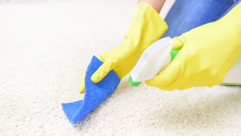 Carpet Cleaning spray. Close-up. Focus on a washcloth and carpet.