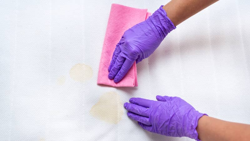 Woman hands with purple gloves clean a dirty mattress with stains