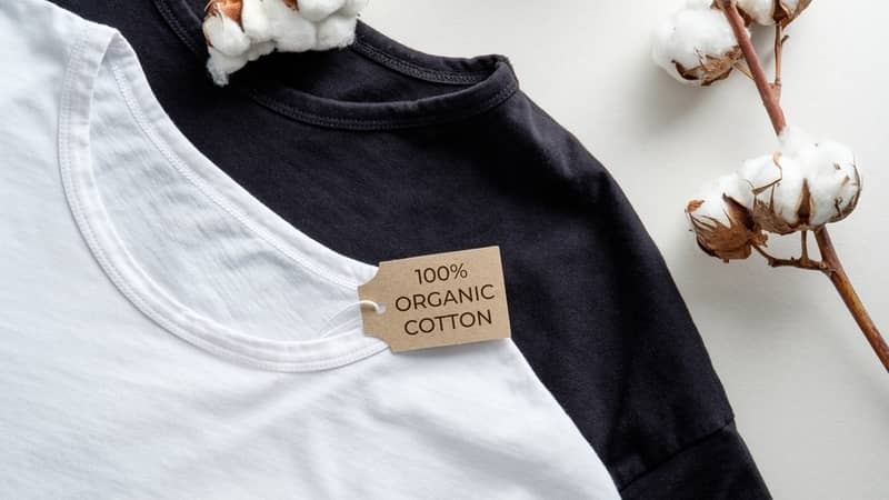 Natural organic cotton t-shirts and cotton plant flowers on white table.