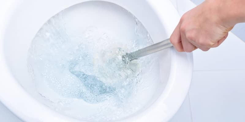 Rinsing the toilet brush with clean toilet water