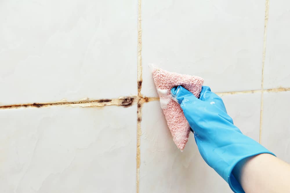 cleaning mold on grout with a cleaning agent