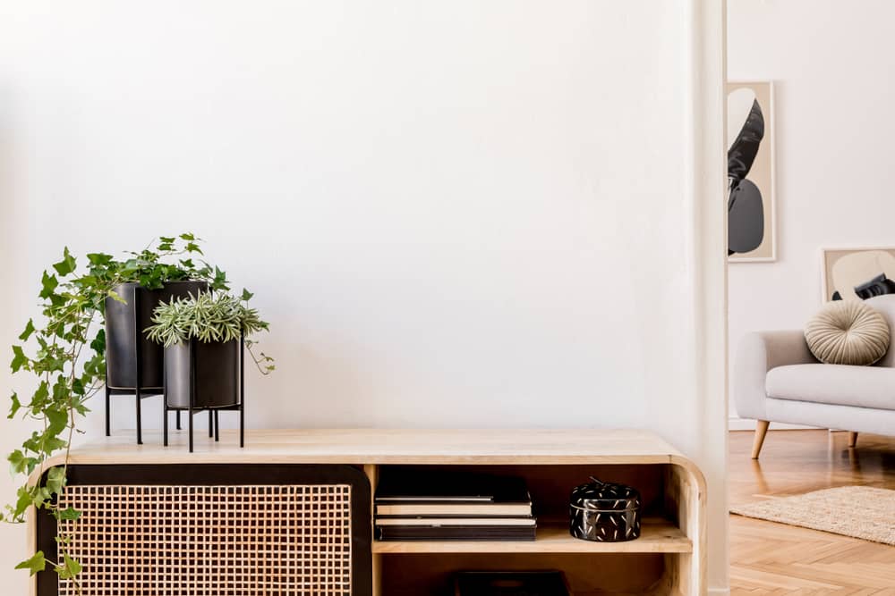 Modern scandinavian home interior with design wooden commode, plants in black pots, gray sofa, books and personal accessories.