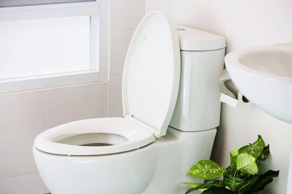 white toilet in modern home