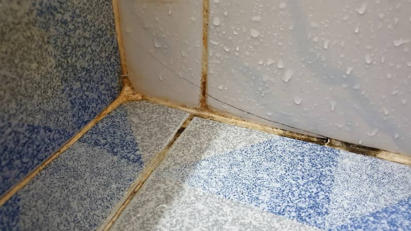 mold growing on shower grouted joints tile and appear on the ceramic wall in bathroom corner