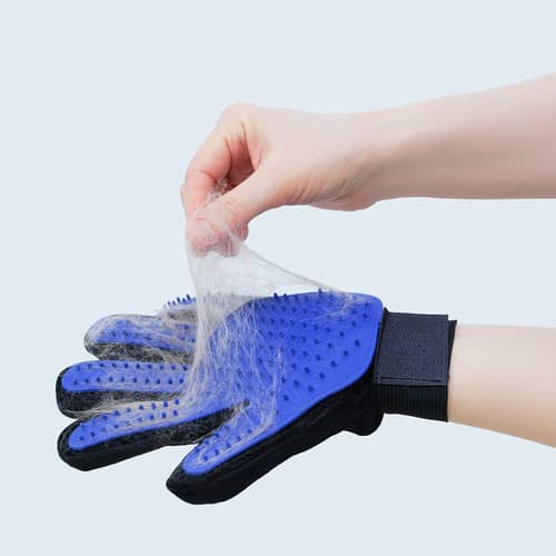 Blue rubber glove for cleaning pet hair 