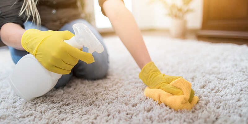 woman cleaning shag rug with microfiber cloth