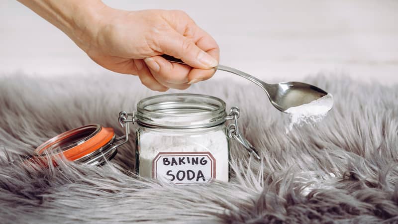 Woman hand pouring baking soda Sodium bicarbonate in long hair fur carpet for cleaning and stain removal. 