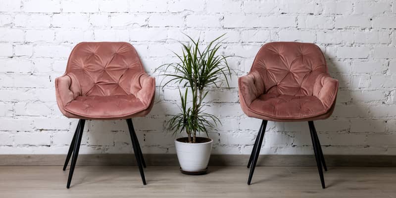 two upholstered pink chairs and palm plant by white brick wall. minimalism interior