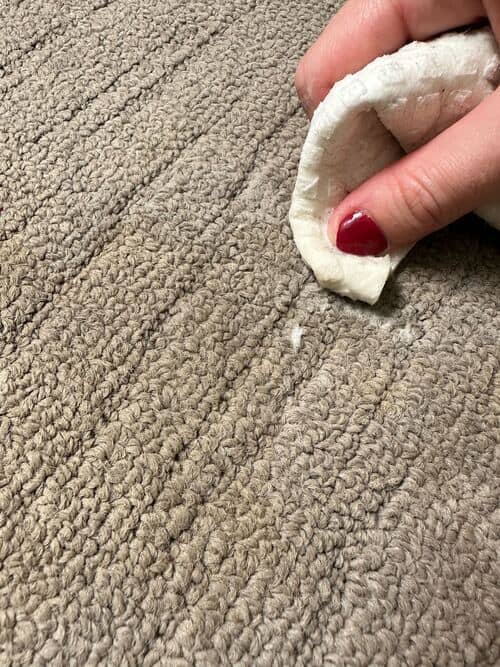 vinegar and soap cleaning coffee stains carpet