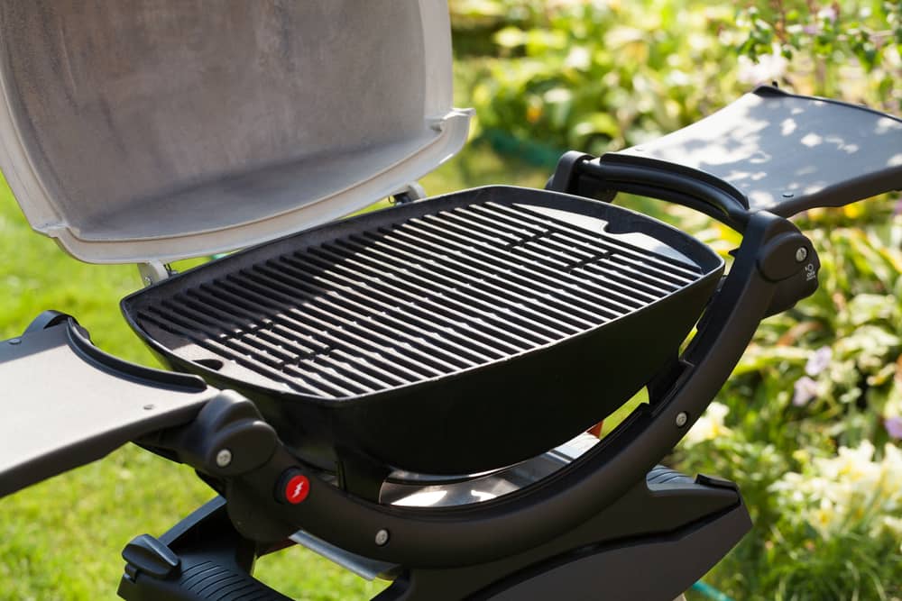 Weber Q grill