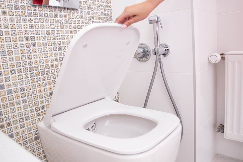 A woman's hand holds the toilet lid in the toilet. The concept of cleanliness and hygiene in the bathroom, pleasant smell of freshness