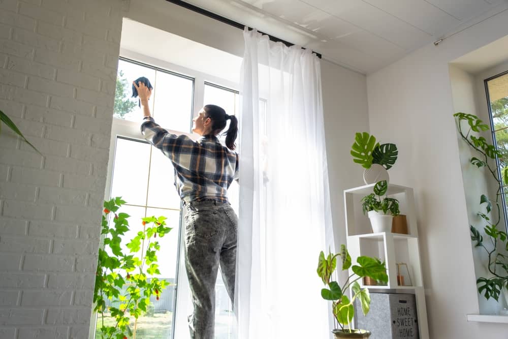 Woman cleaning large windows in a bright plant filled living room